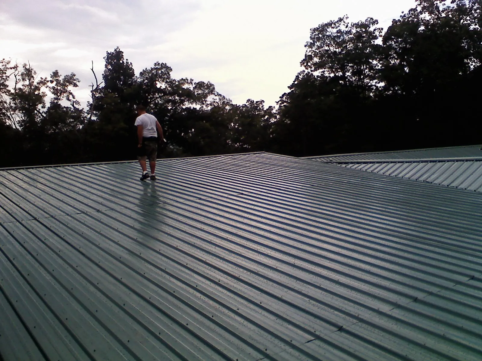 Roofer walking a wide expanse of new green metal roofing in Burr Oak